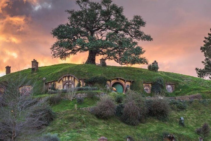 Hobbiton Movie Set