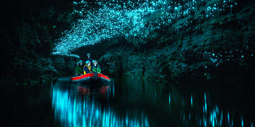 Waitomo Glowworm Cave